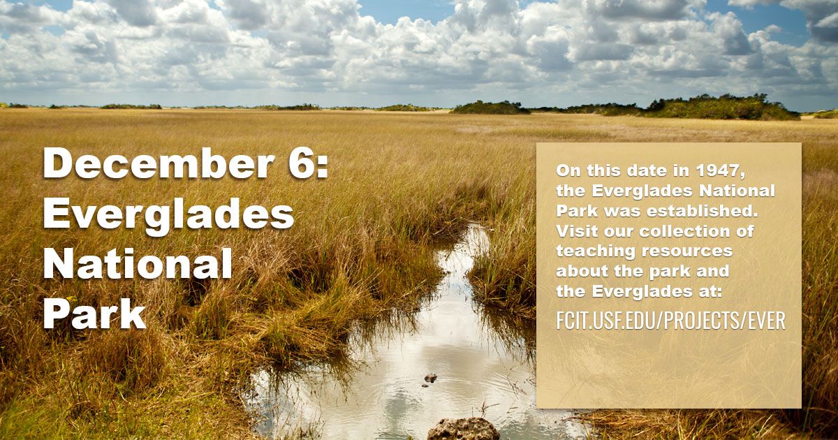 What Year Was the Everglades National Park Established