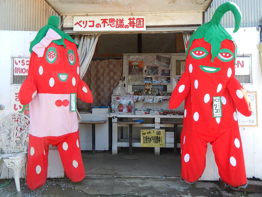 話題の「ベリコの不思議の苺園」とは？噂の真相と評判・予約法を徹底解明
