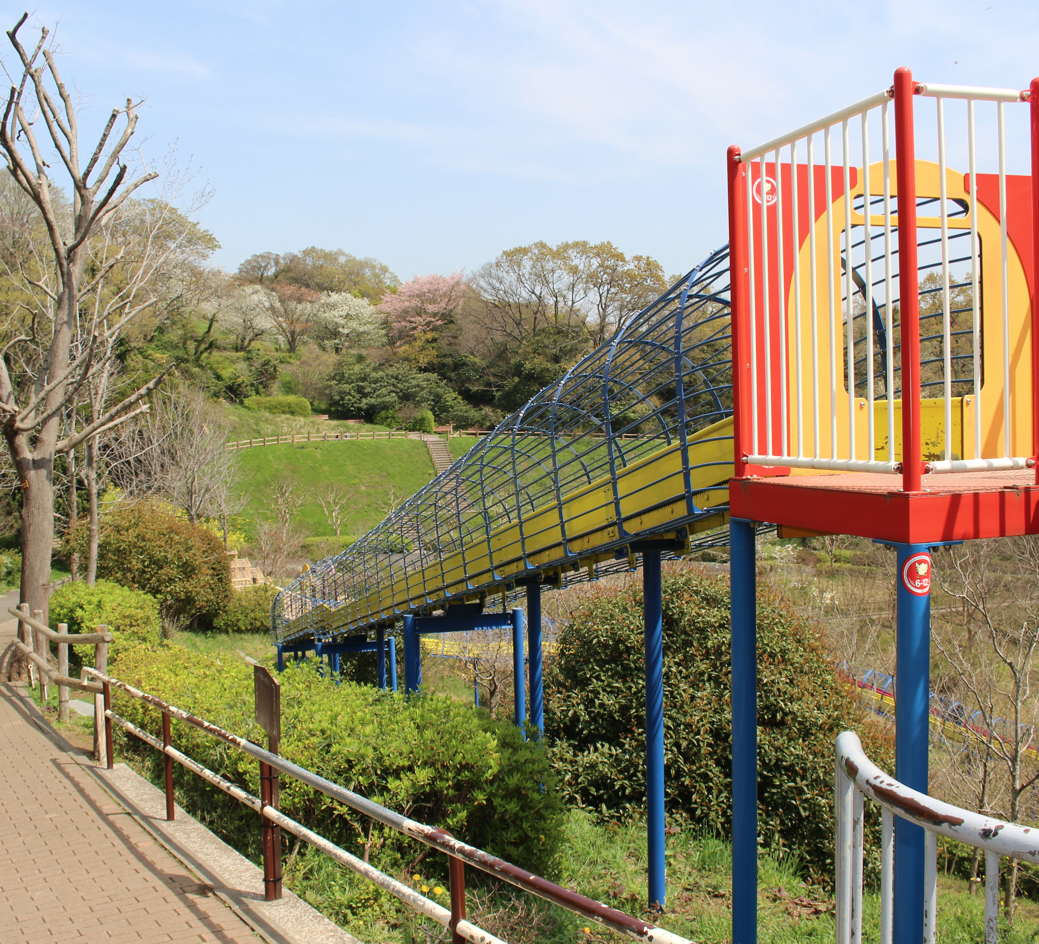 【2026最新】近くの公園を徹底調査！遊具・駐車場・穴場探しの決定打