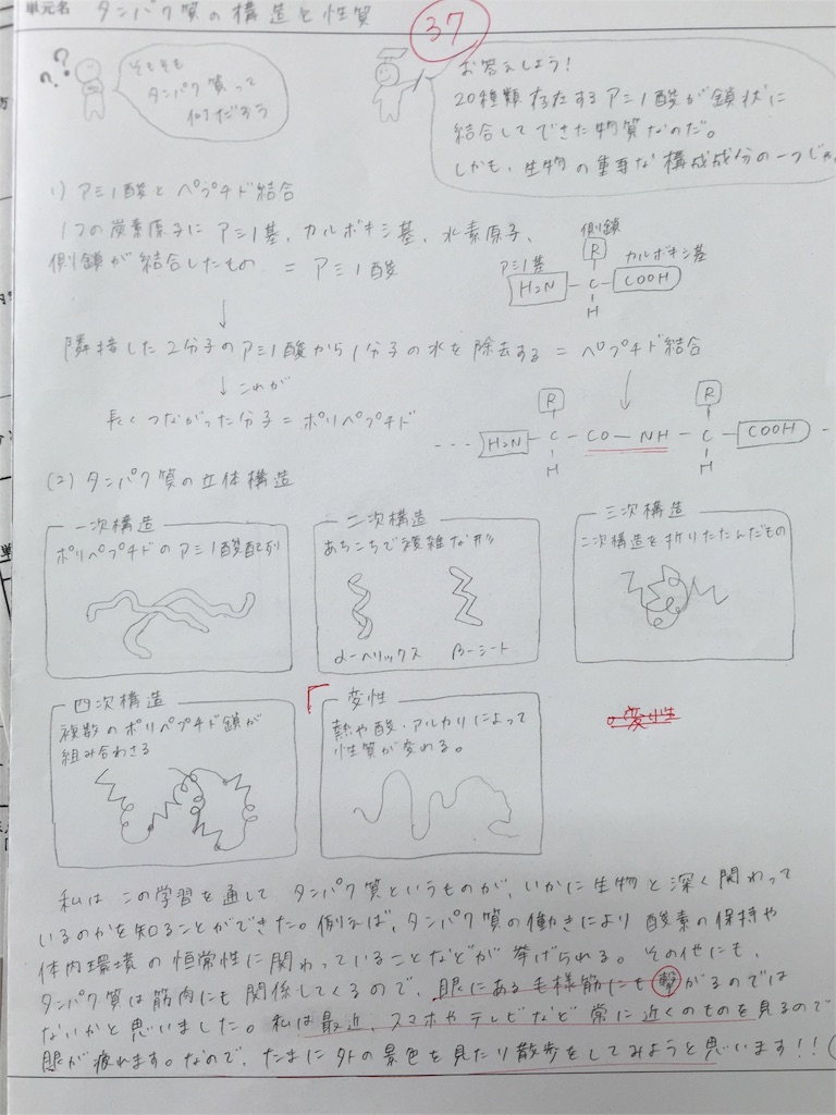 生物のレポートで最高評価を獲る構成術と考察の書き方【完全解説】