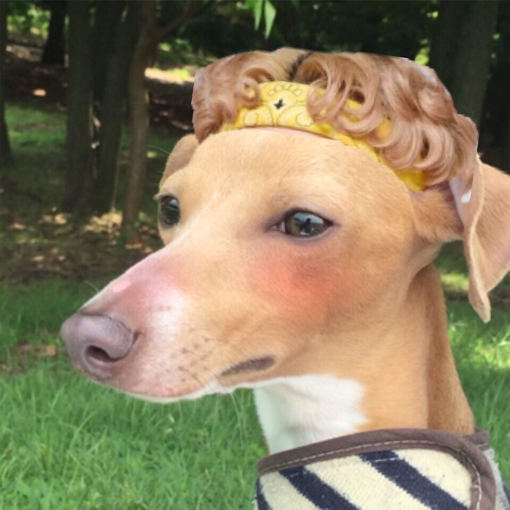パーマで犬みたいにチリチリ？失敗の原因とプロの即効リセット術