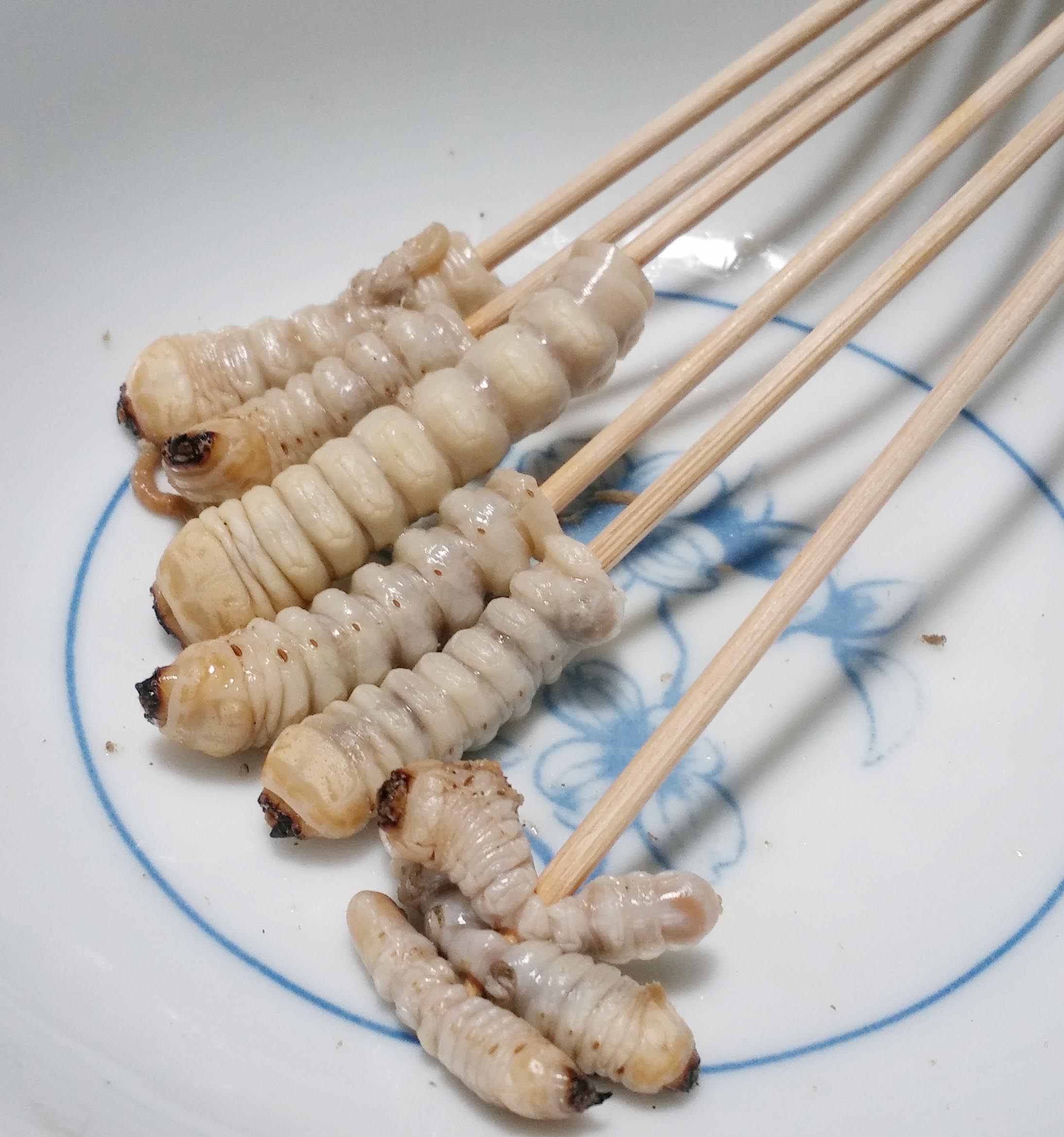 カミキリムシを食べる真相！幼虫が「トロ並みの絶品」と噂の理由と危険性
