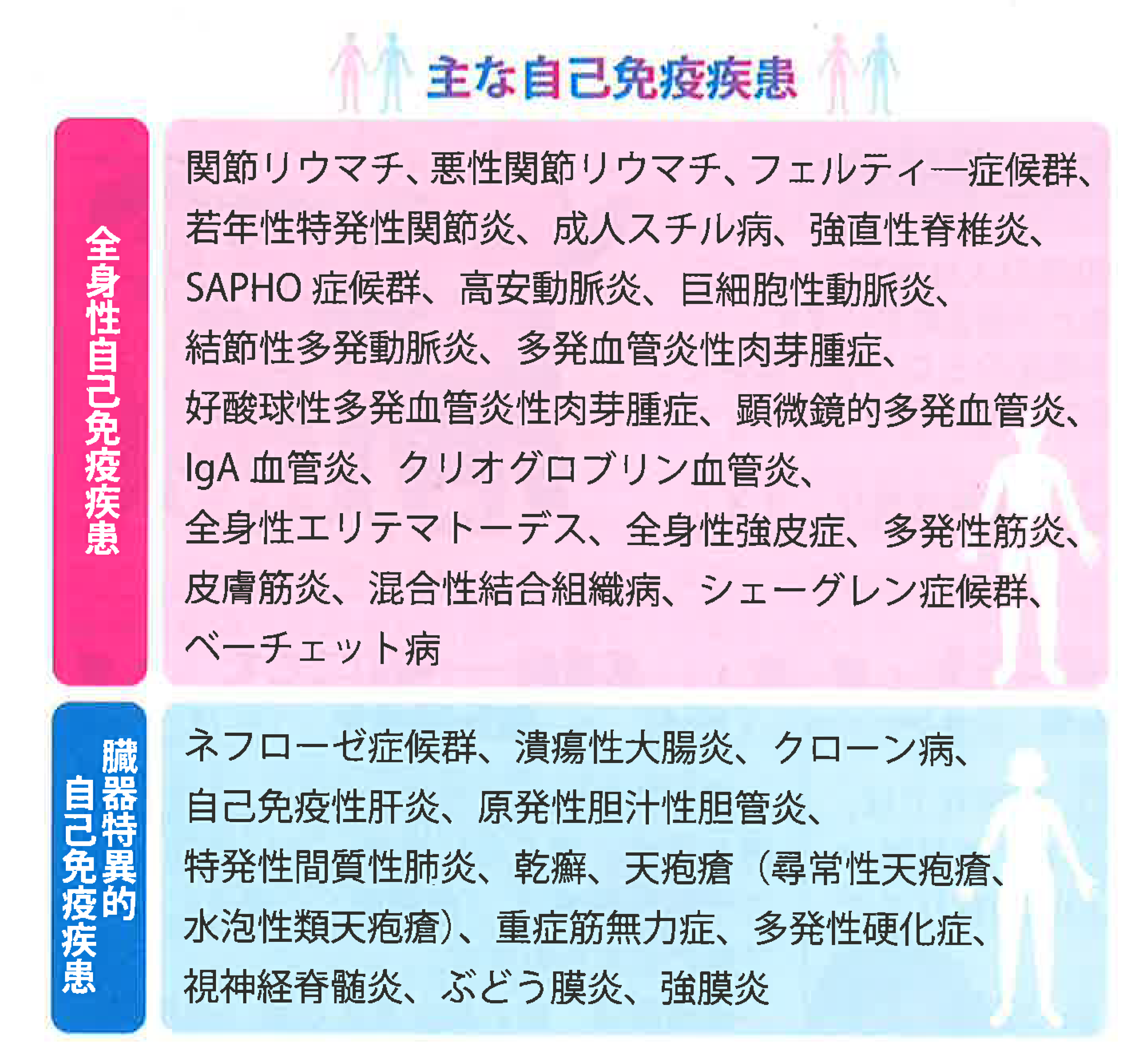 自己免疫疾患とは？原因や初期症状と2026年最新治療の真相