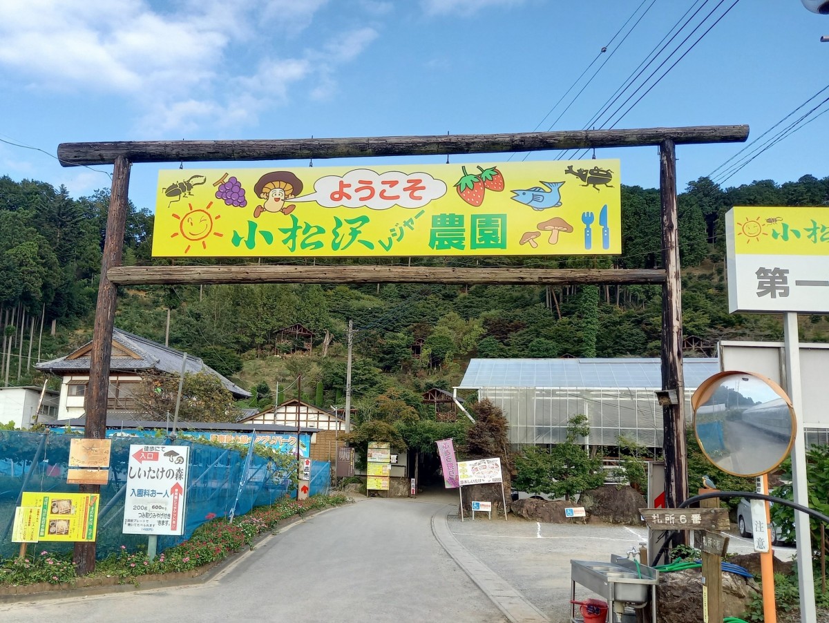 小松沢レジャー農園の2026年最新口コミ！混雑回避と予約の真相を徹底解説