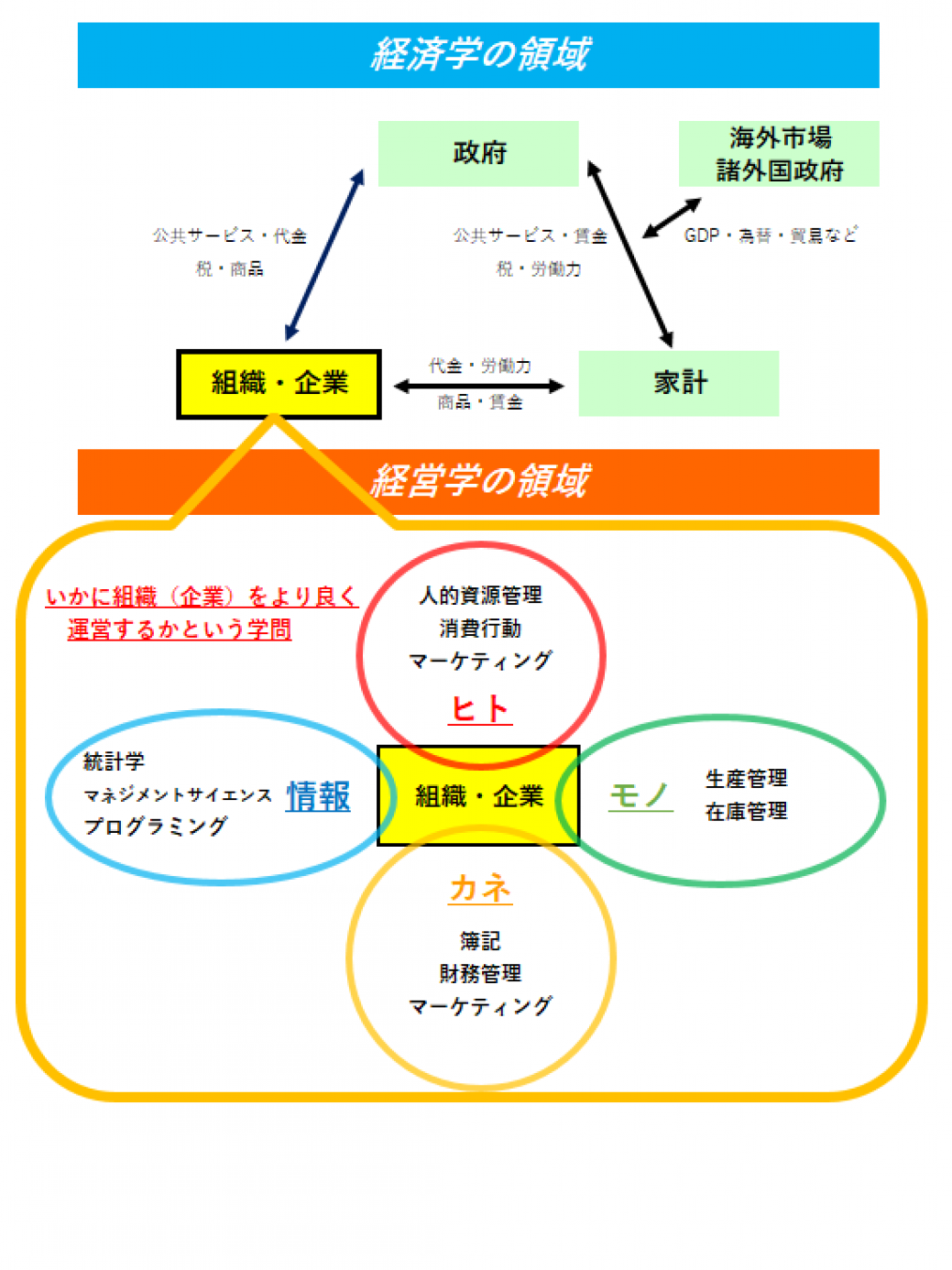 経済学と経営学の違いとは？就職や年収の差・数学の壁まで徹底比較