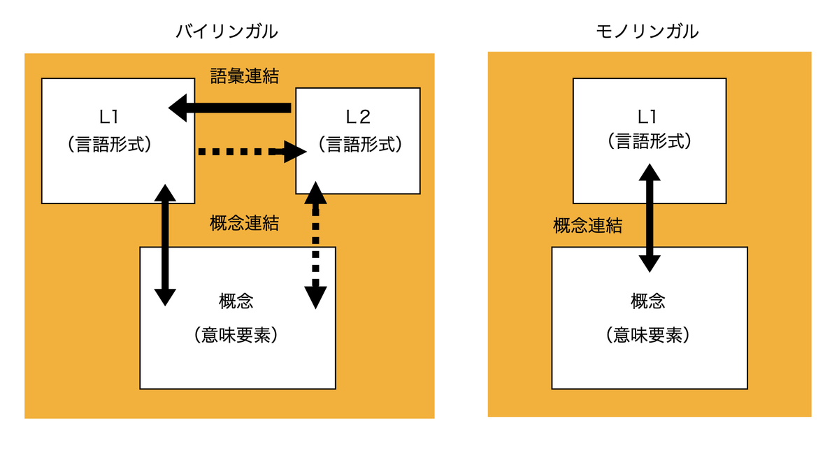 モノリンガルとは？日本人に単一言語話者が多い深層理由と脳への影響