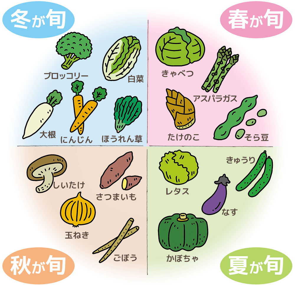 旬の野菜はなぜ栄養価が跳ね上がるのか？春夏秋冬カレンダーと選び方