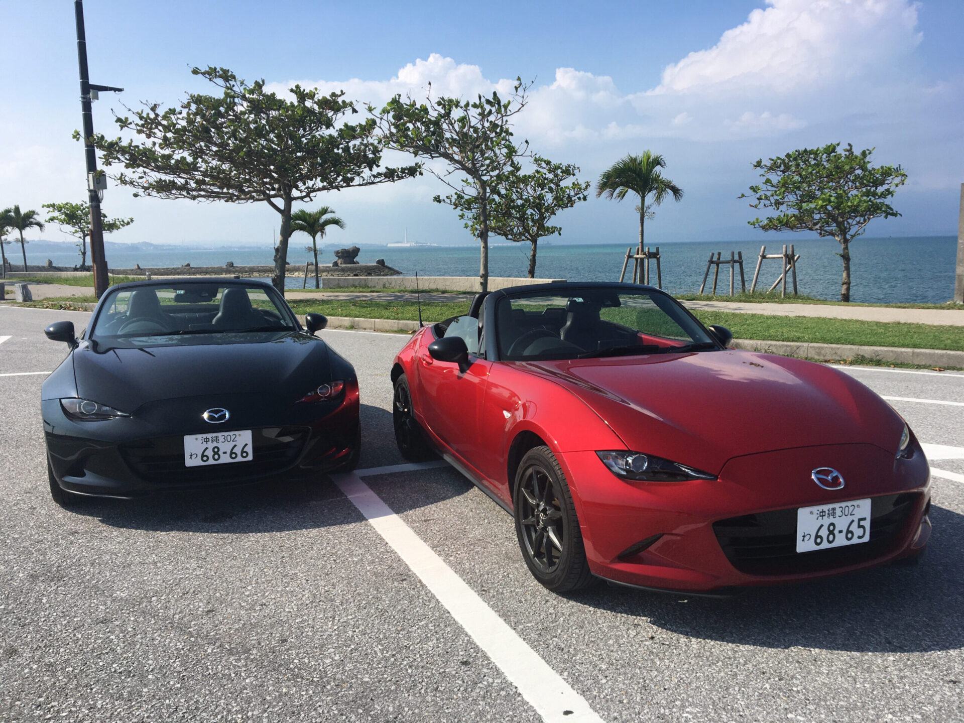 沖縄オープンカーレンタカーで後悔？失敗の真相と2026年最新相場比較