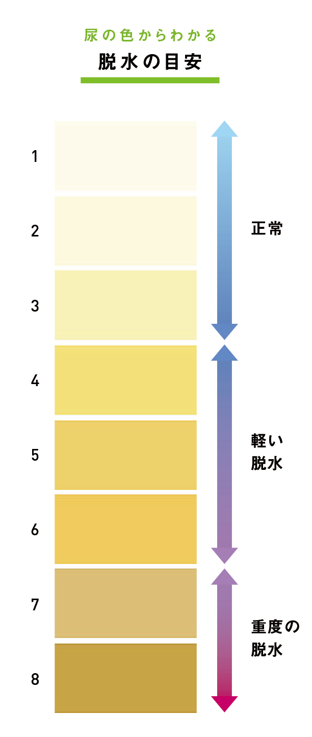 膀胱炎で尿の色が濁る・赤くなる理由は？危険な血尿のサインと対処法