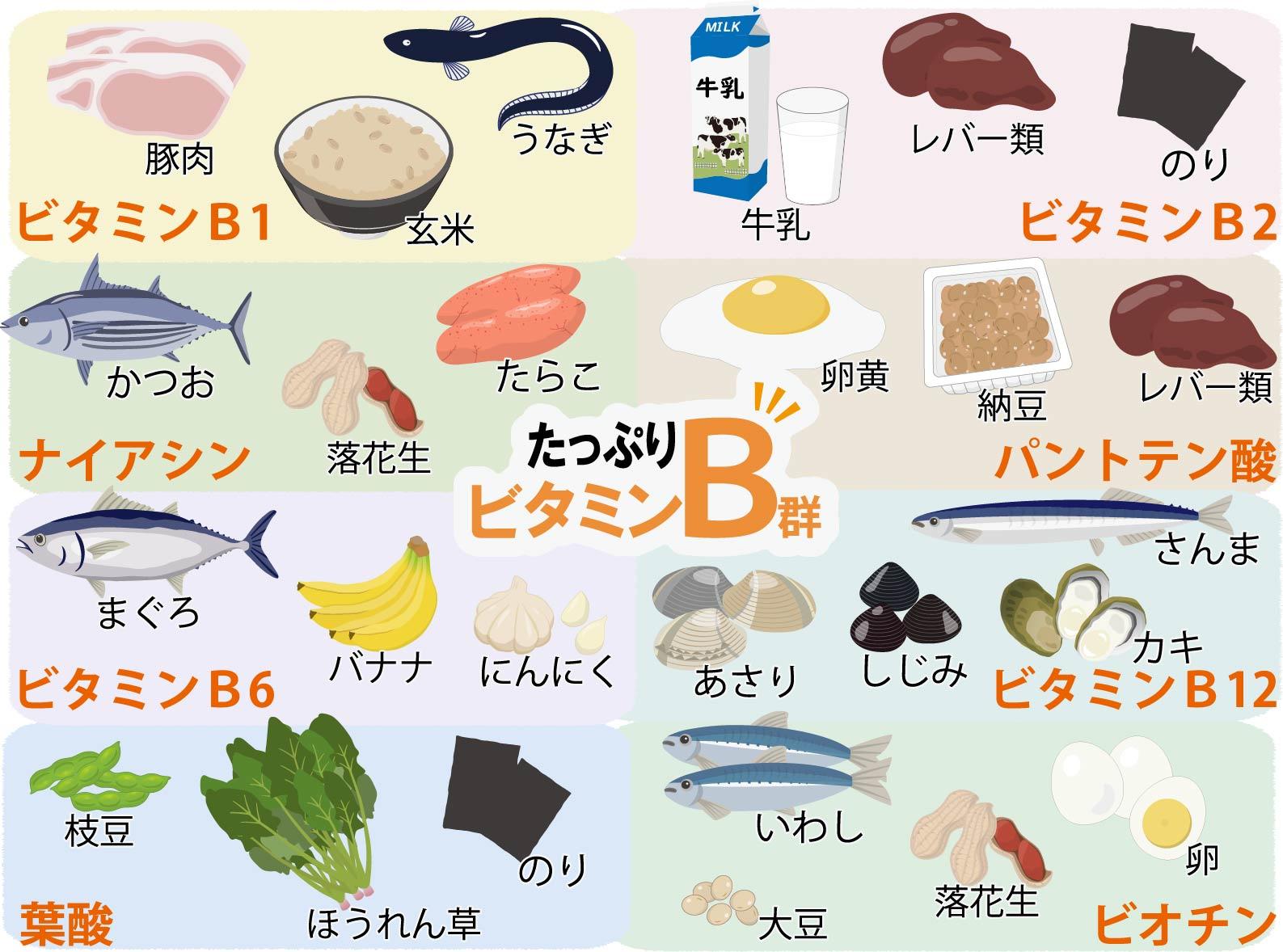 ビタミンB食材徹底比較！疲労回復と肌荒れを防ぐ効率的な摂り方