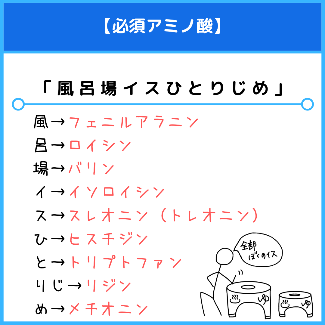 必須アミノ酸の最強ゴロ合わせ！国試・テストで満点獲る暗記術