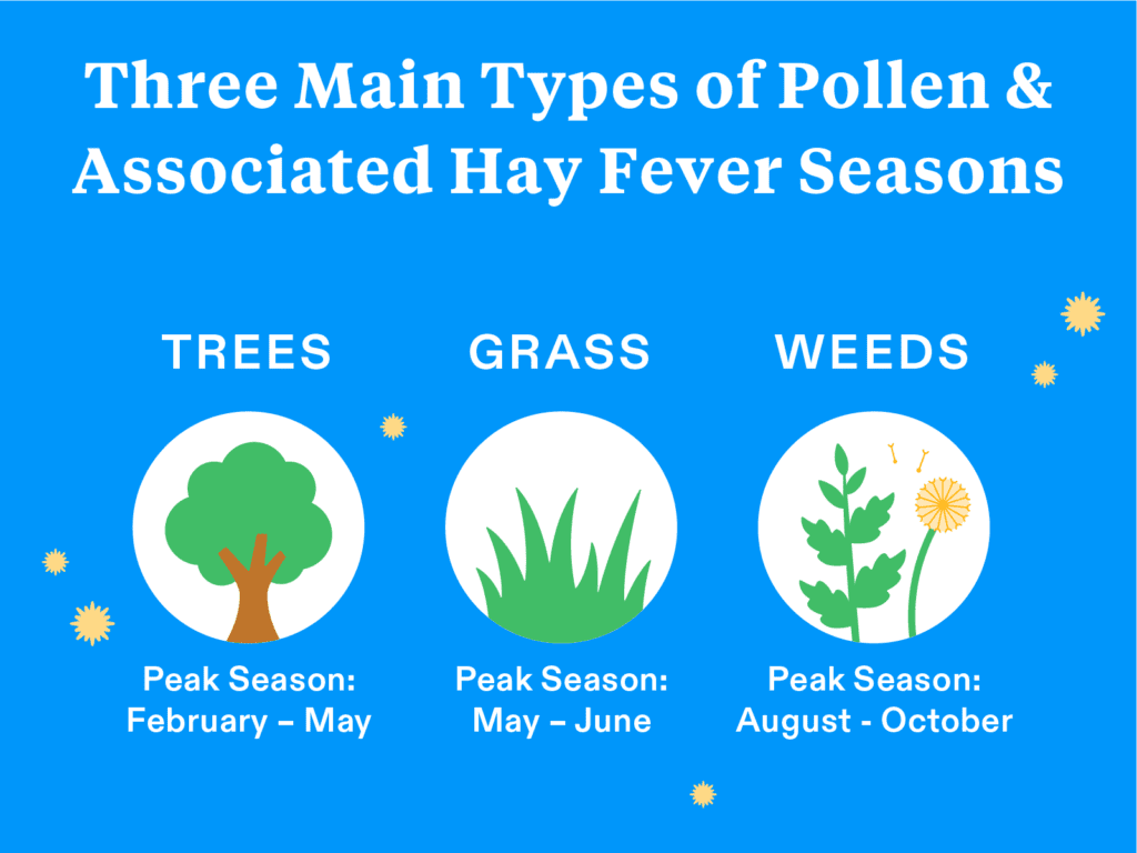 When Will the Hayfever Season End