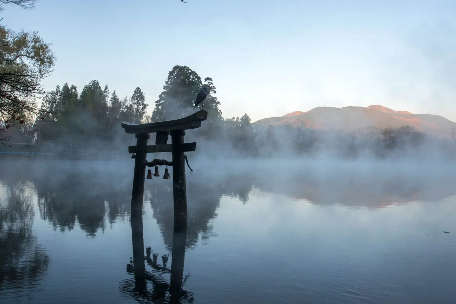 由布院・金鱗湖の朝霧はなぜ起きる？温泉湧出の真相と2026年攻略