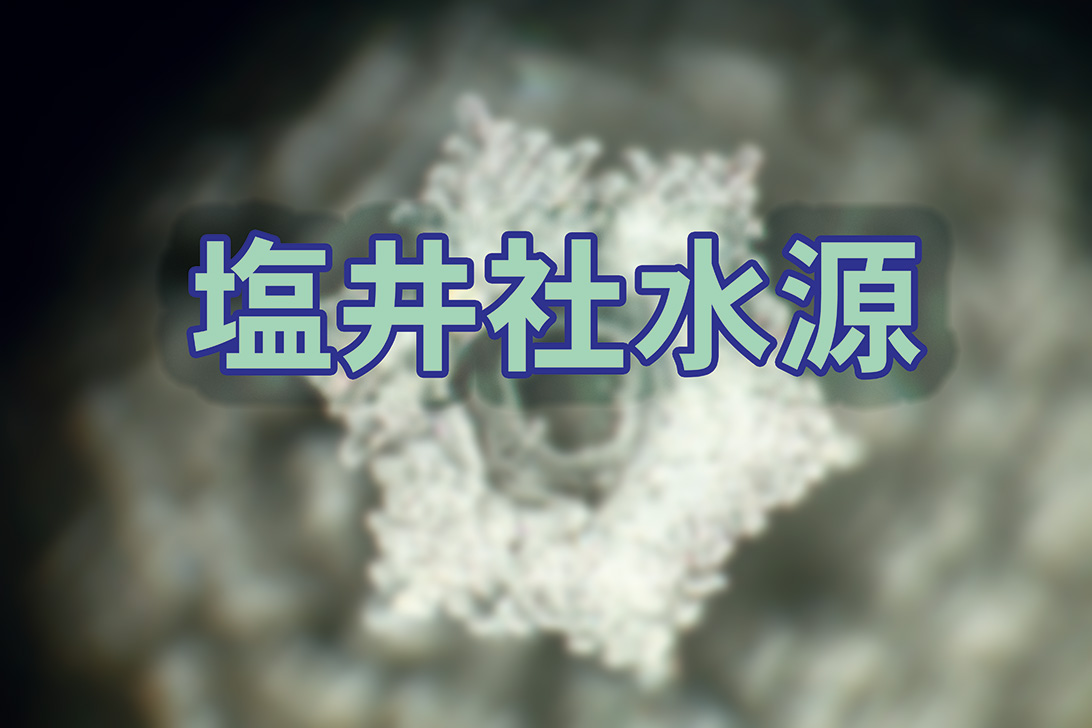 熊本の秘境「潮井水源」に世界が注目する理由—2026年、神秘の湧水と地域再生のリアル