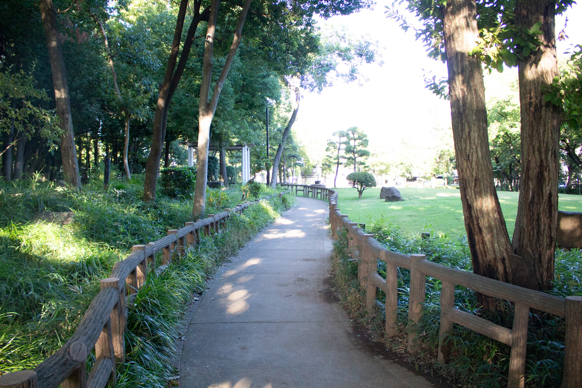 戸田市後谷公園の魅力と駐車場の落とし穴｜水辺と桜の穴場を徹底検証