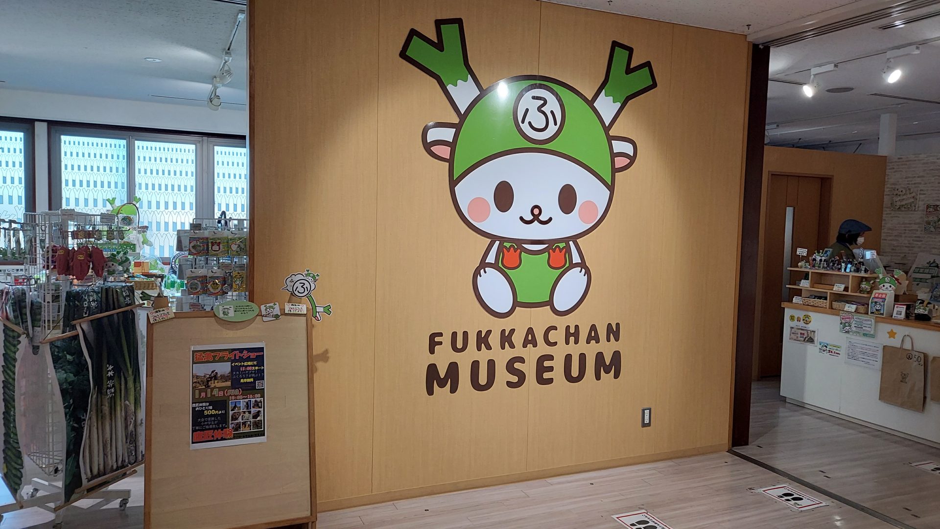 ふっかちゃんミュージアム完全攻略！限定グッズと登場日程を徹底解剖