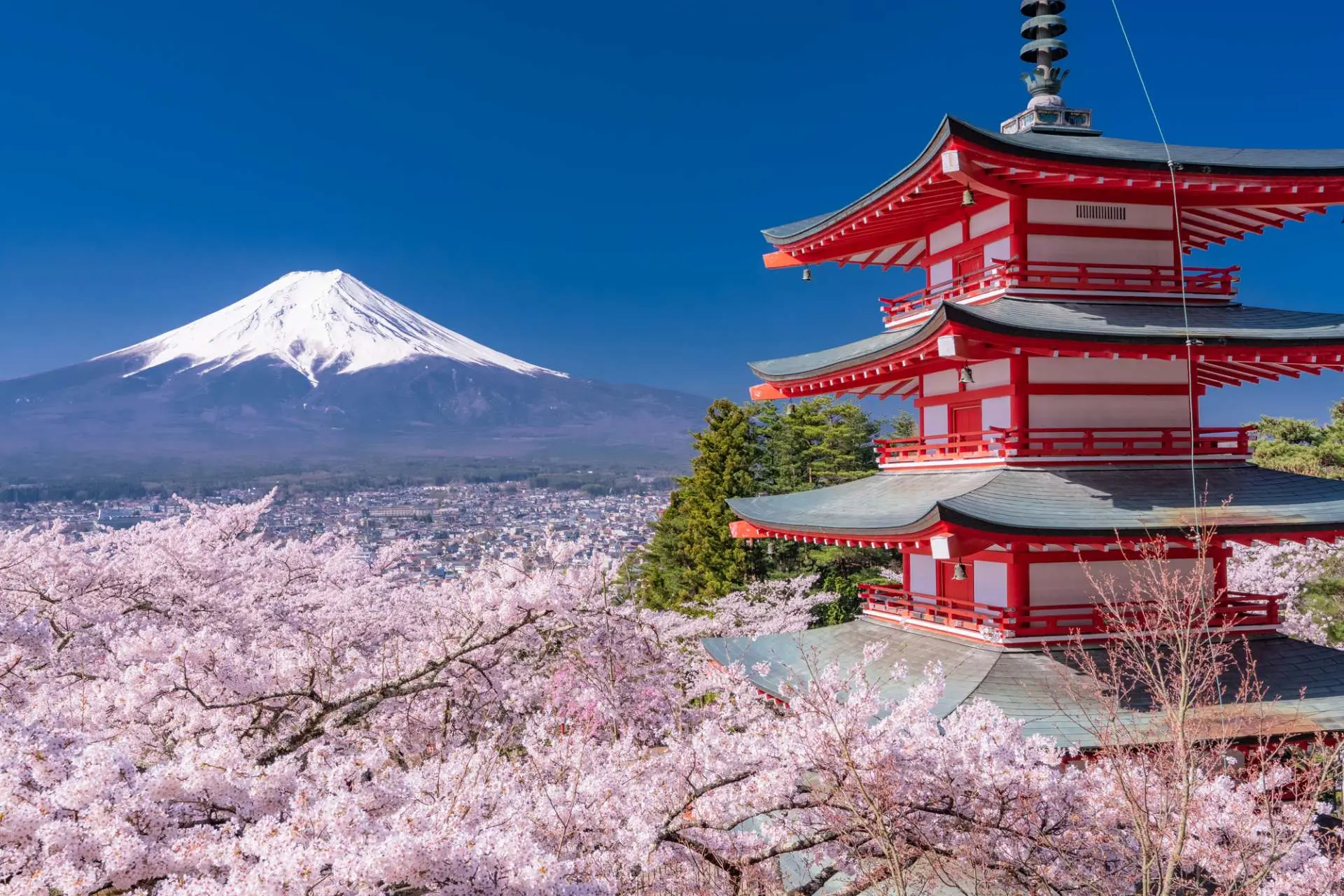 2026年最新の日本観光地徹底取材！定番の混雑回避と穴場の真実