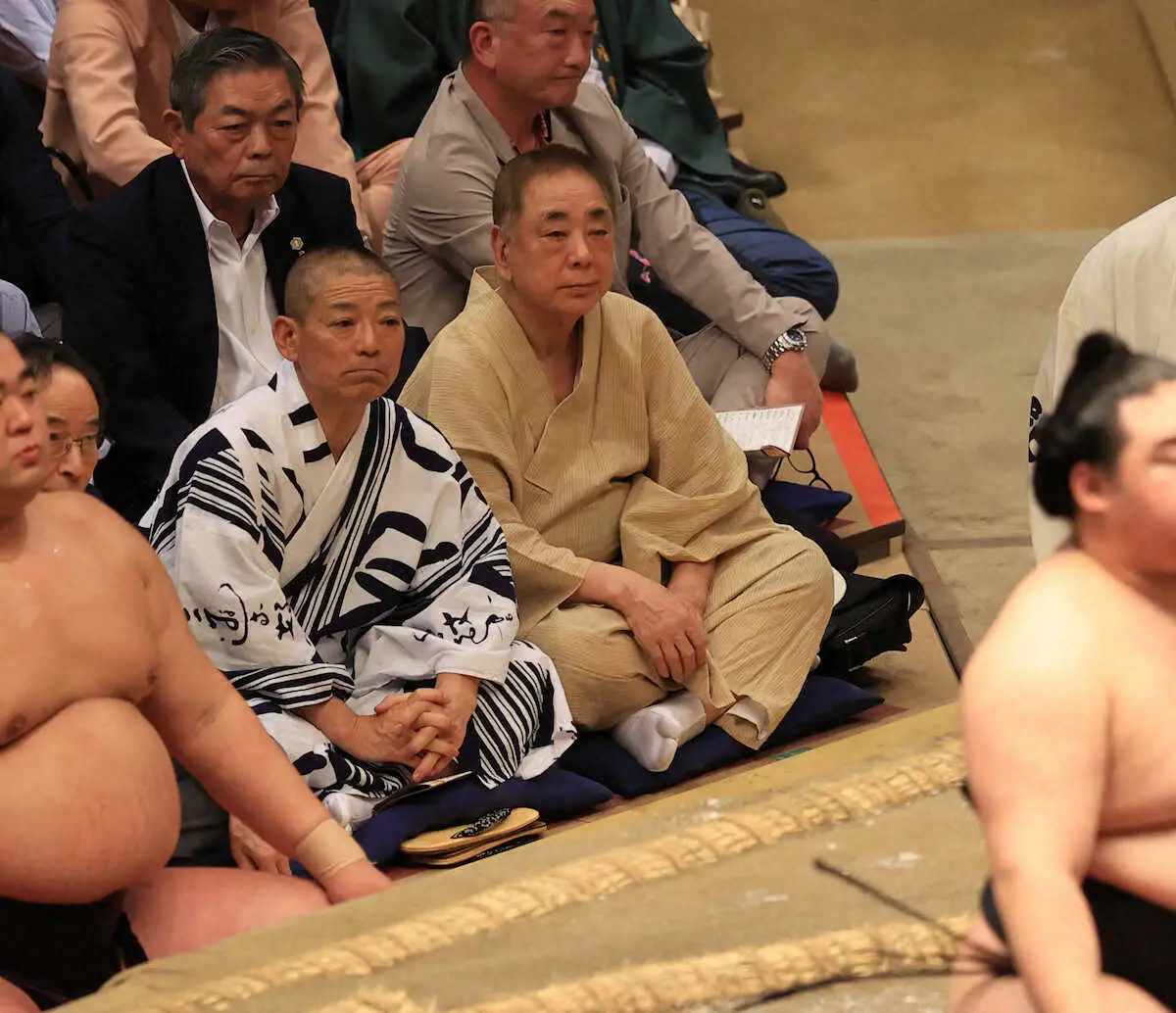 大相撲の砂かぶり席になぜ芸能人が？目撃情報と元力士タレントの現在