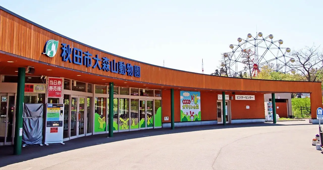 秋田大森山動物園2026攻略！料金割引とまんまタイム混雑回避の全貌