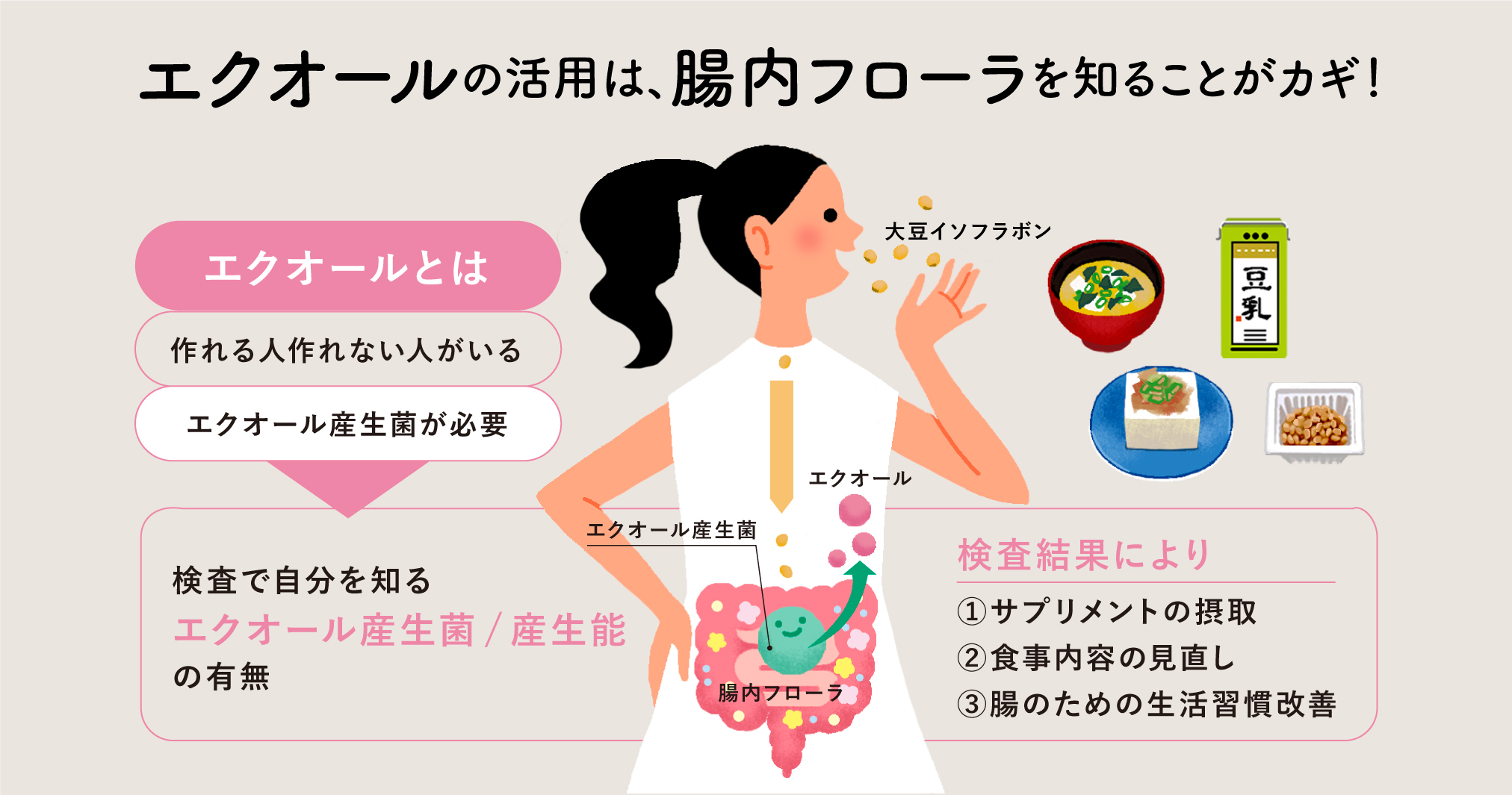 エクオールを作れる人の特徴とは？作れない人との決定的な差を徹底解明