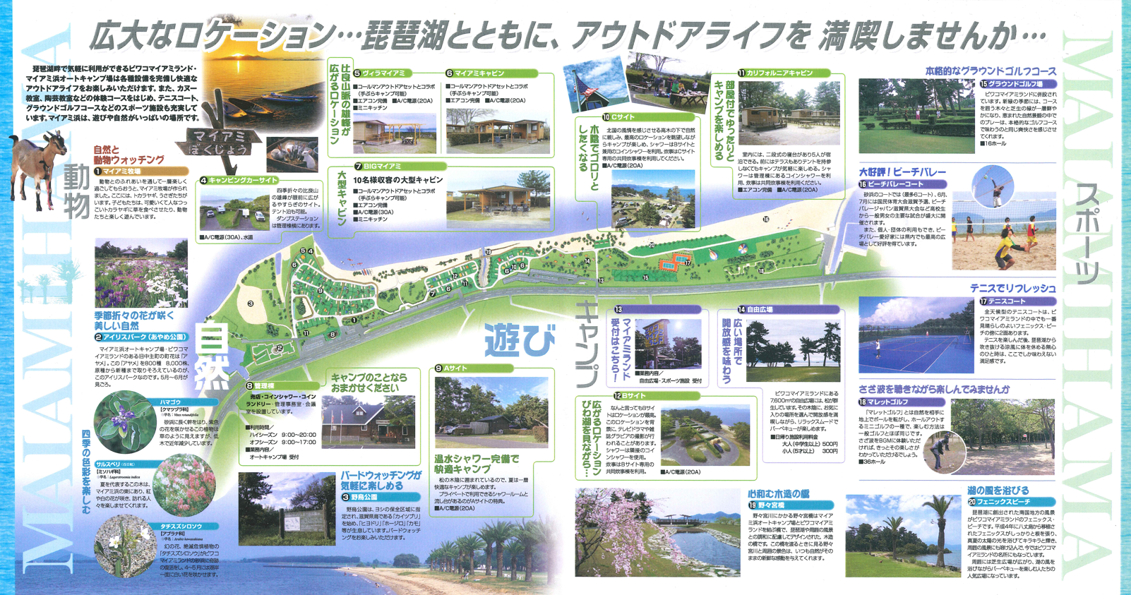 琵琶湖マイアミ浜キャンプ場攻略！予約のコツと失敗防ぐ風対策2026