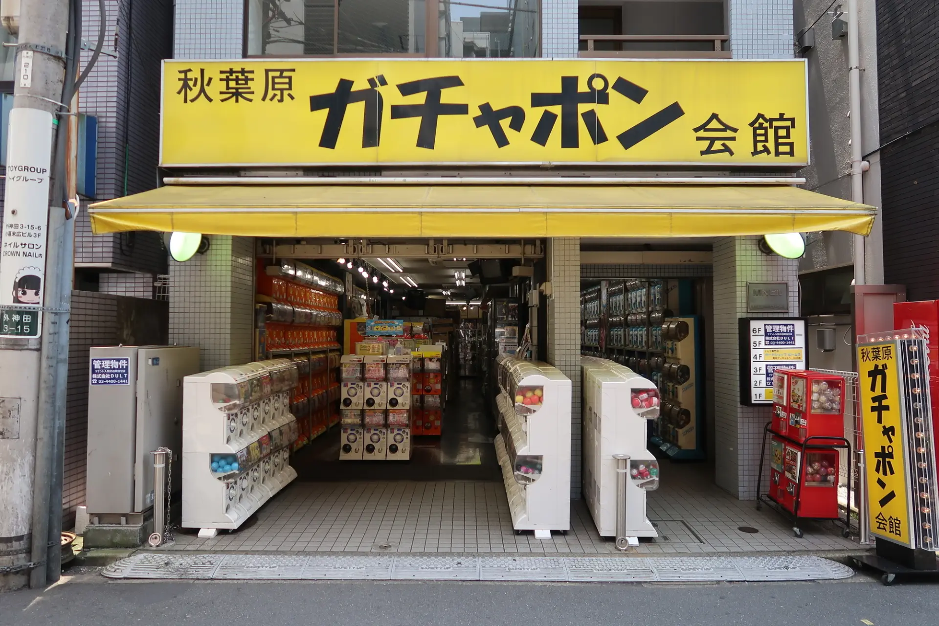 【2026最新】秋葉原ガチャポン会館が独走する理由と完全攻略