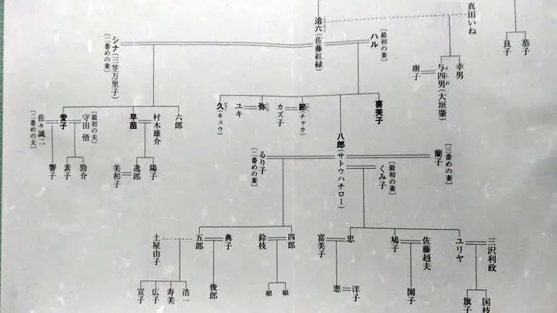【最新】 佐藤 愛子 家 系図 最新ライブ＆イベント情報 #790