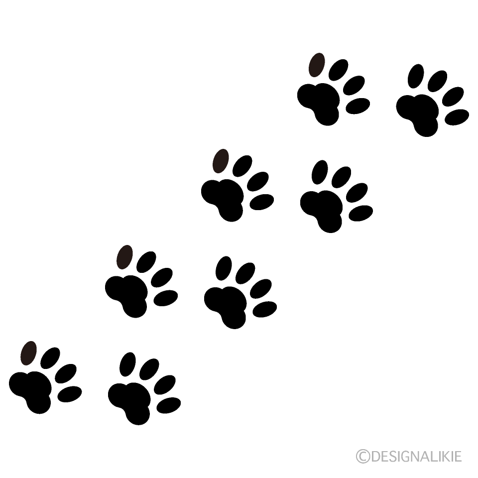 犬の足跡に隠された真実｜猫との見分け方から健康サインまで徹底解剖