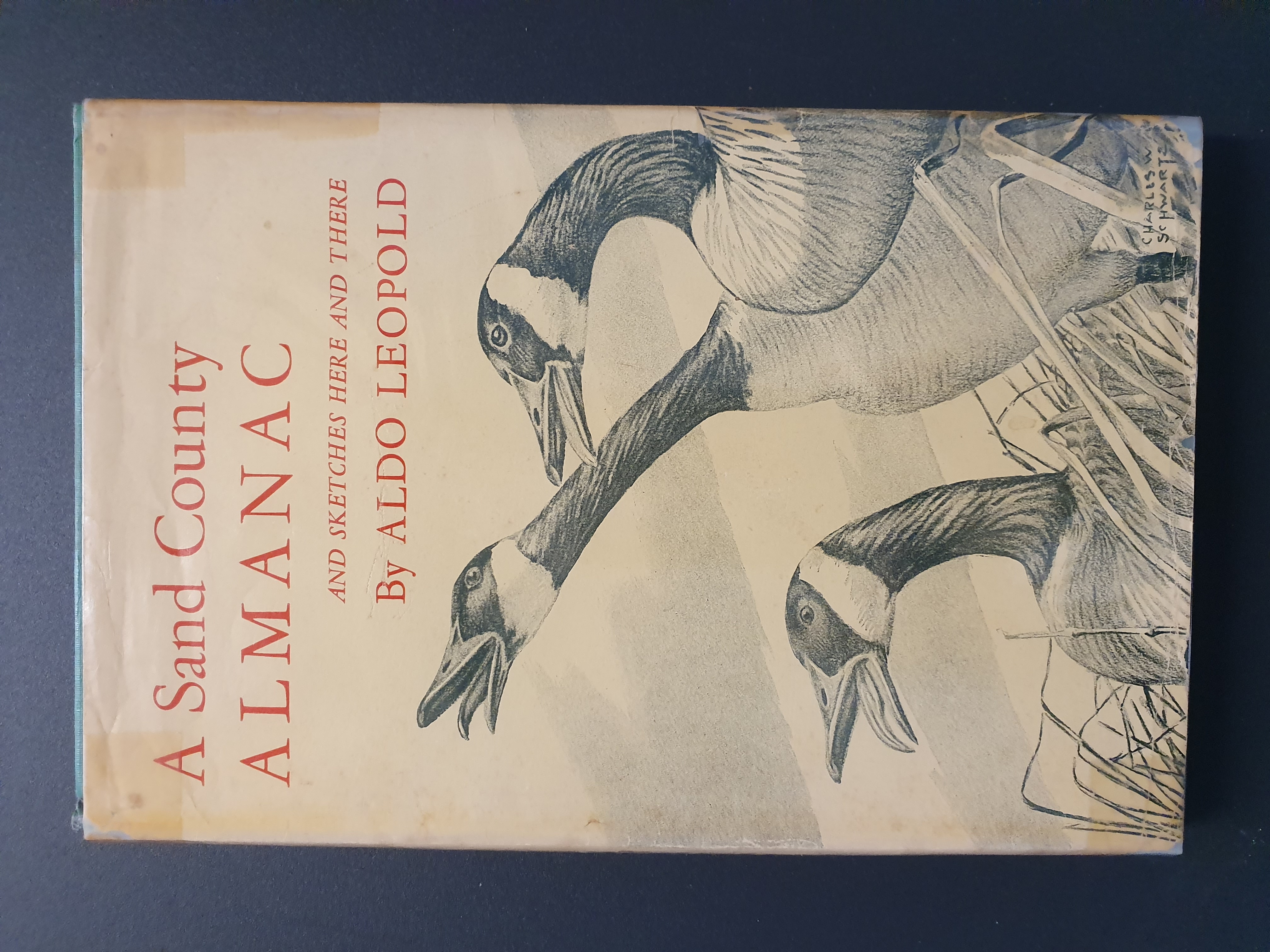 A Sand County Almanac and Sketches Here and There