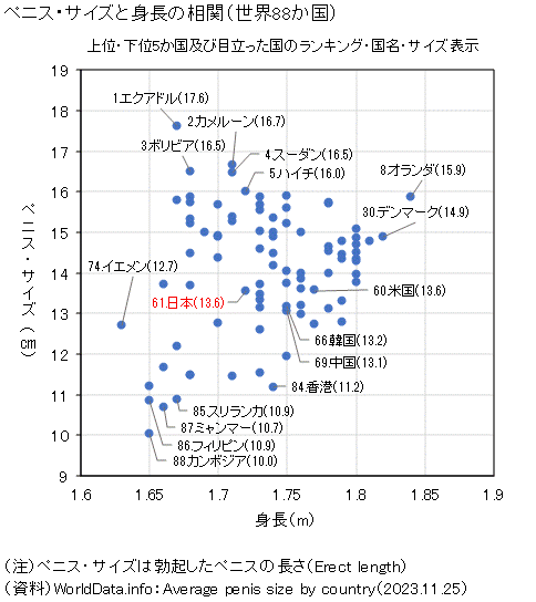 男のペニスの太さ平均は？日本人男性の周囲長データと正しい測定法