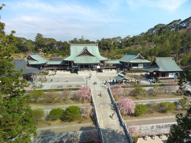 【2026年】袋井の花火徹底解剖！穴場スポットと混雑回避の極意
