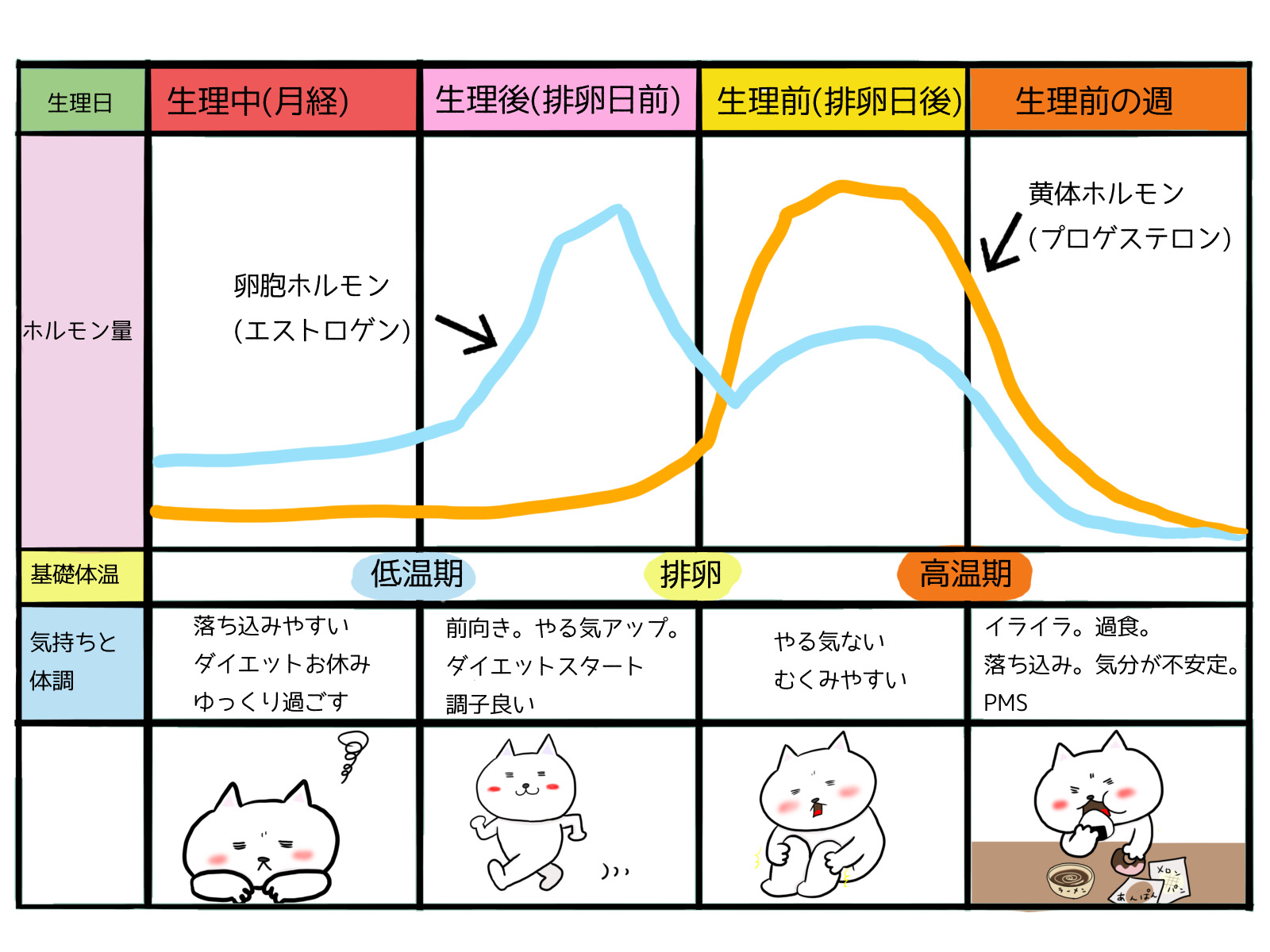 生理前の異常な食欲なぜ止まらない？原因解明と太らないリセット術