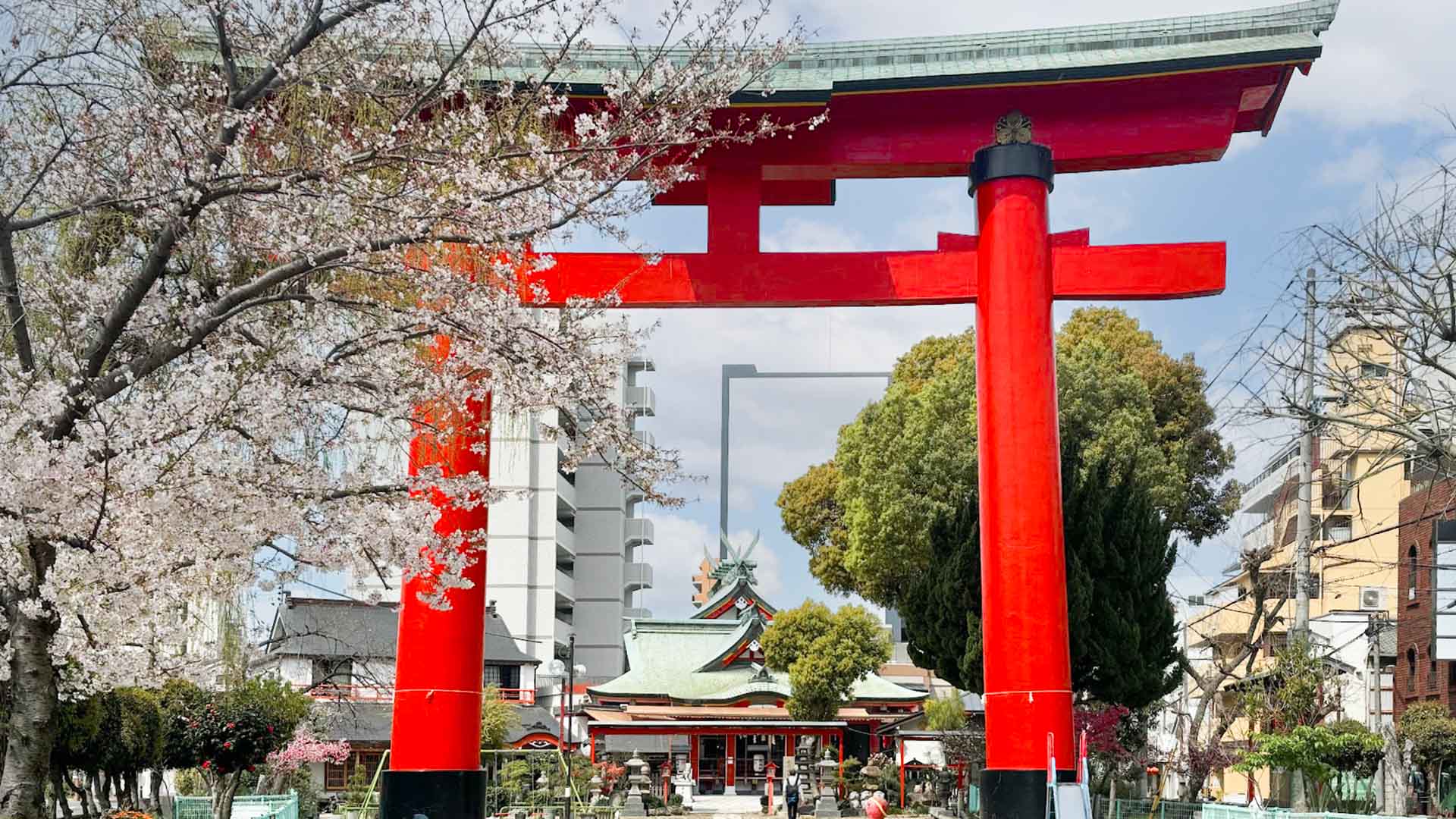 尼崎えびす神社の真相！大鳥居の秘密と御朱印・十日戎の混雑攻略2026