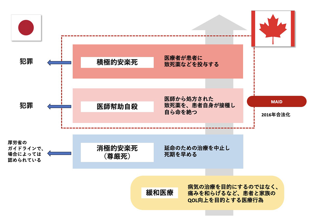安楽死制度はなぜ日本で不可なのか？海外の条件と2026年最新動向