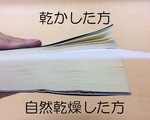 濡れた本を元通りに！冷凍庫やペーパーでシワを防ぐ驚きの復活術