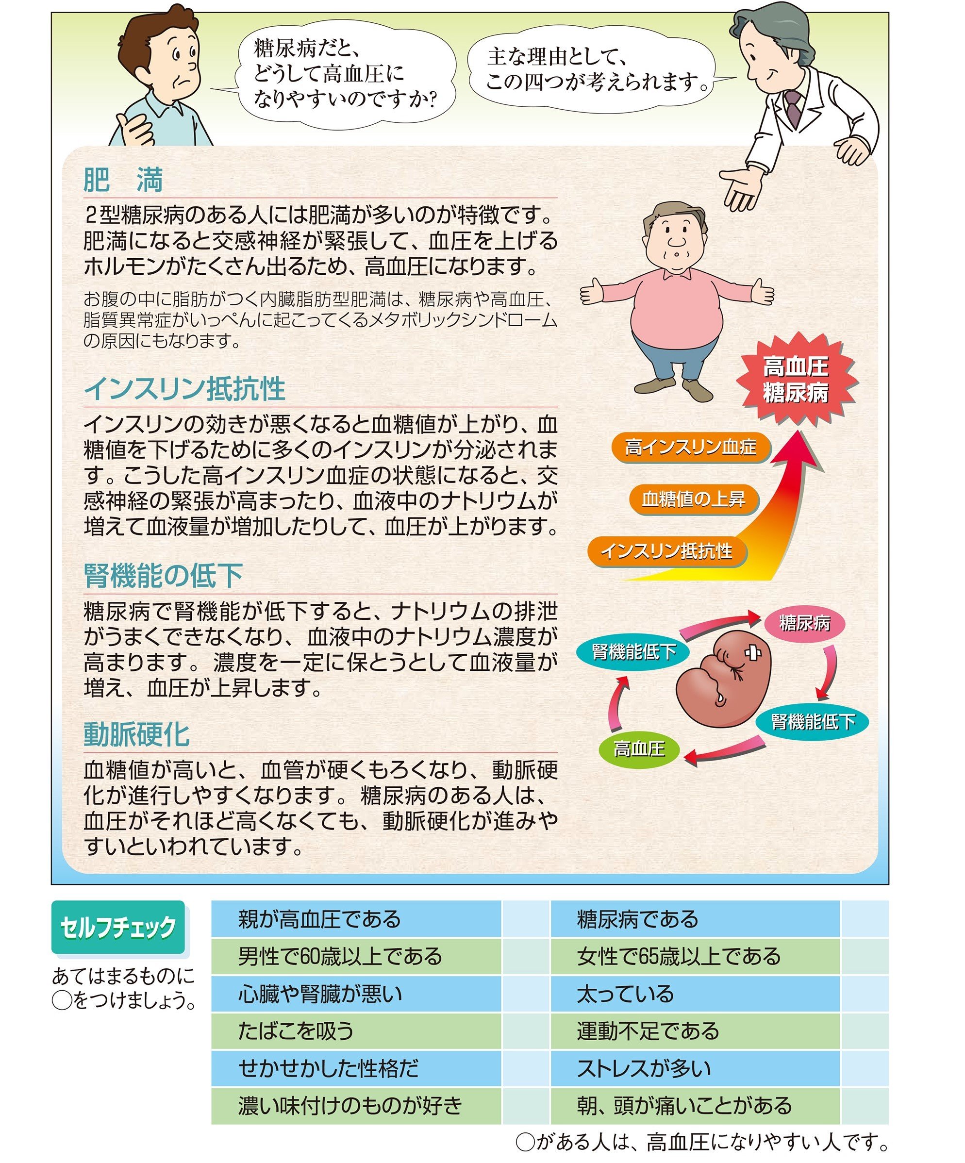 血糖値と血圧の危険な連鎖｜血管を守る最新メカニズムと予防法