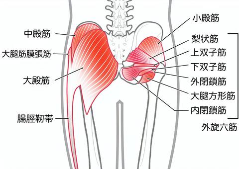 【プロフィール】 尻 に 敷 かれる と は 話題のバズ動画・画像 #927
