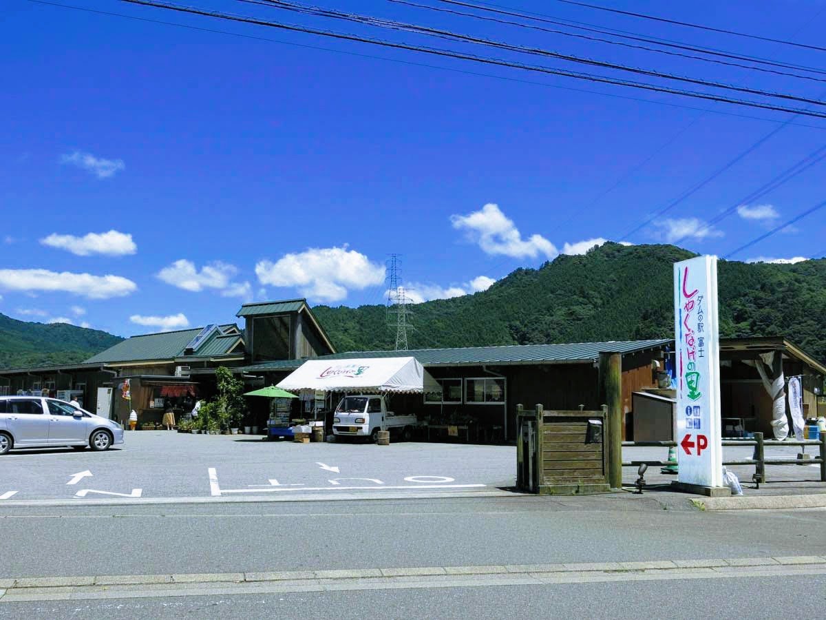 しゃくなげの里の開花状況と見頃2026！全国名所と混雑回避術