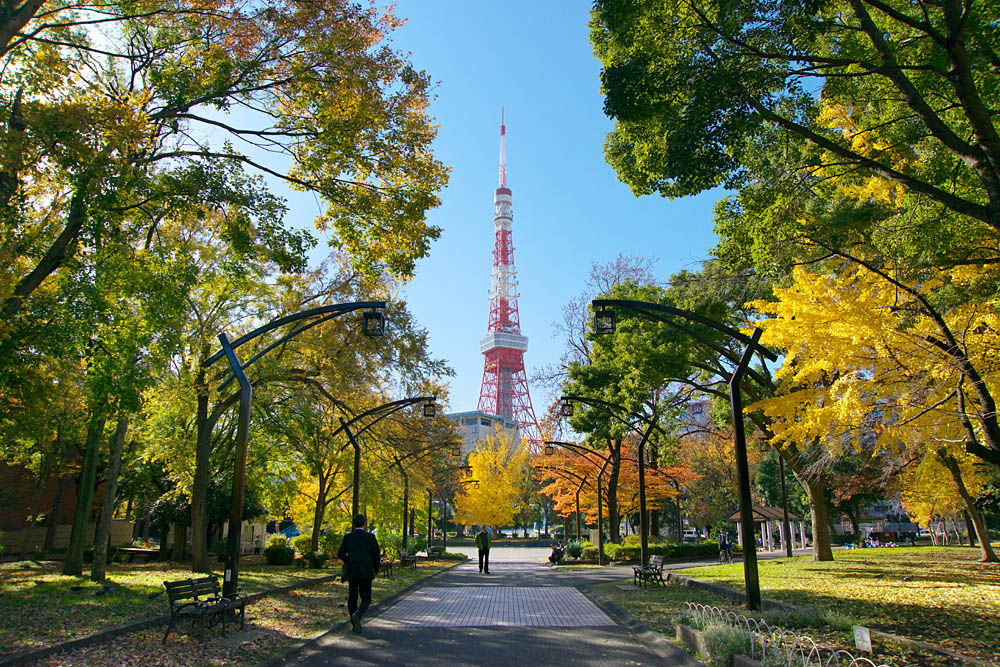 2026年、都心のオアシスが魅せる新しい顔——東京タワーを仰ぐ「芝公園」の再開発と知られざる最新スポットを歩く