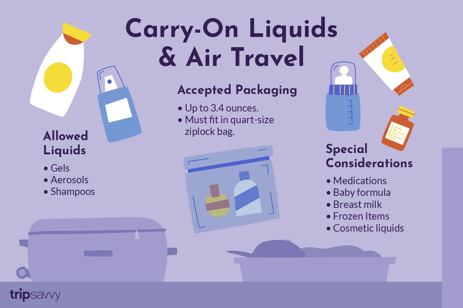 Take Liquids on Plane