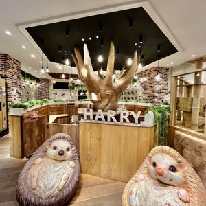 【真相】 Hedgehog Cafe & Pet Store Harry Harajuku 気になる噂と真相 #678