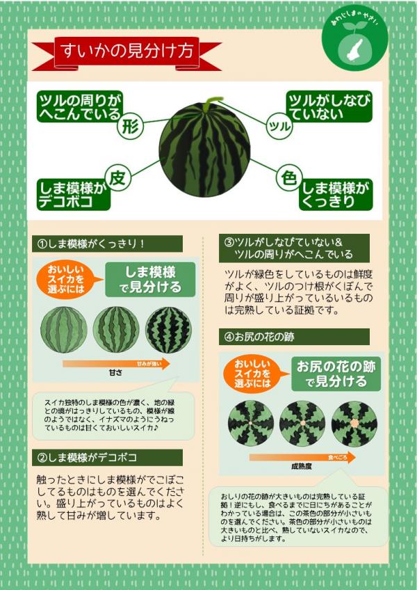 スイカの美味しい見分け方決定版！プロ直伝の完熟サインと甘い選び方のコツ
