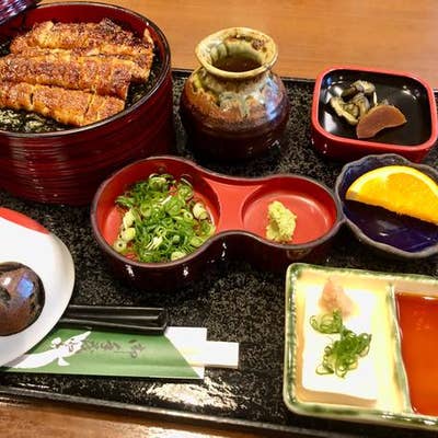 亀山「うなぎの初音」完全攻略！待ち時間・整理券から味の真価まで徹底解剖