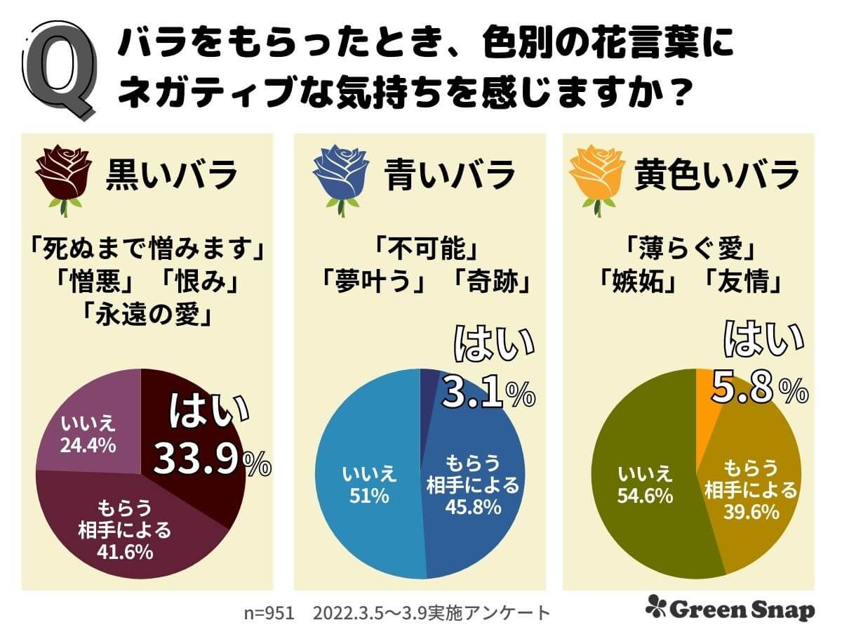 バラの花言葉は色で激変！怖い意味の真相と後悔しない本数の選び方