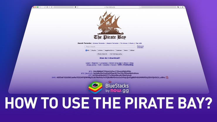 How to Download from the Pirates Bay