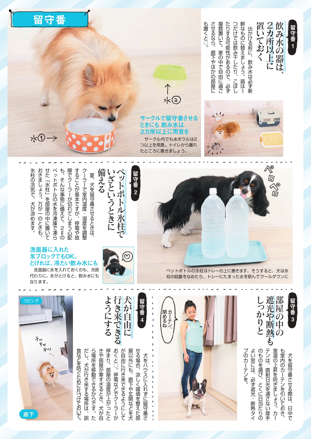 愛犬の命を守る犬の暑さ対策2026｜Ng行動と室温管理の正解