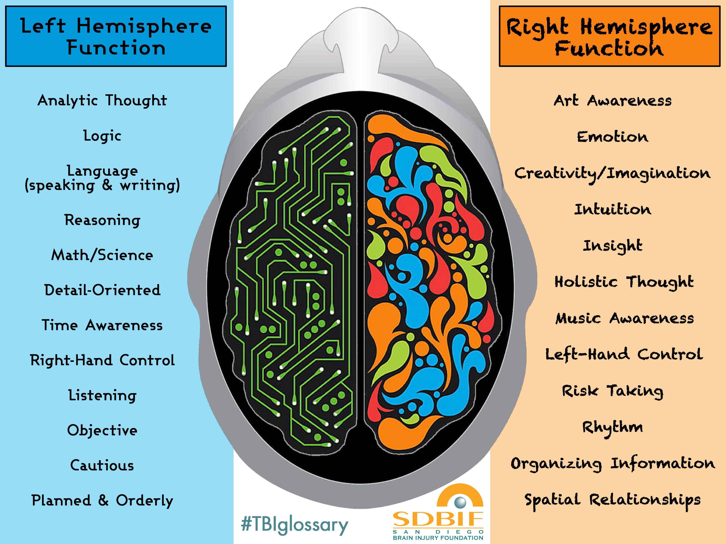 What Does the Right Side of the Brain Function