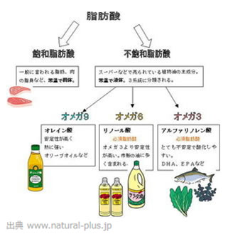 【2026年最新】免許取得の波が変わる？東山自動車学校が選ばれる理由と激変する教習現場のリアル