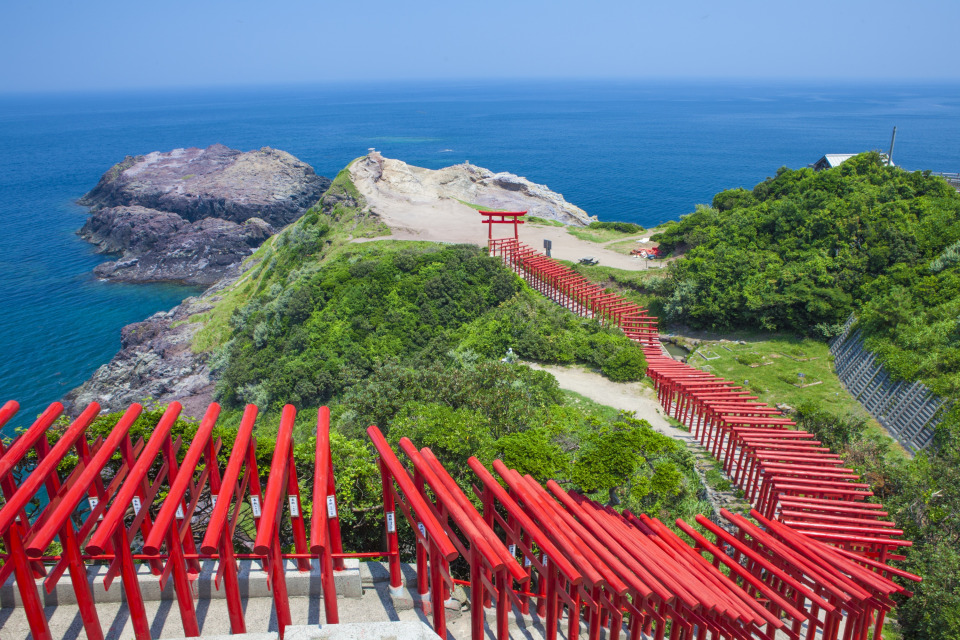 【2026年最新ルポ】海へ向かって龍が躍る奇跡の絶景——山口・元乃隅神社が拓く「持続可能な観光地」の未来