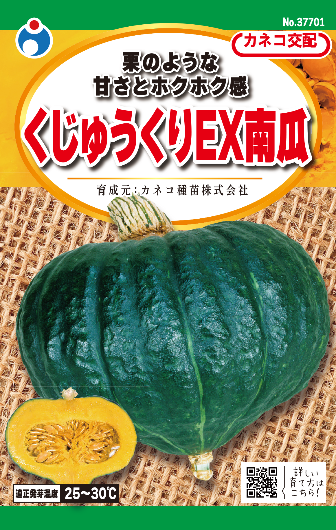 九重栗かぼちゃの糖度と特徴を徹底解剖｜旬の時期と絶品煮物レシピ